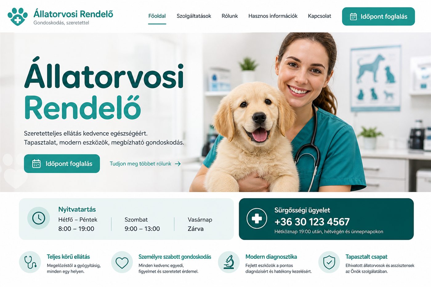 Állatorvosi rendelő — weboldal látványterv